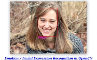 Emotion / Facial Expression Recognition with OpenCV.