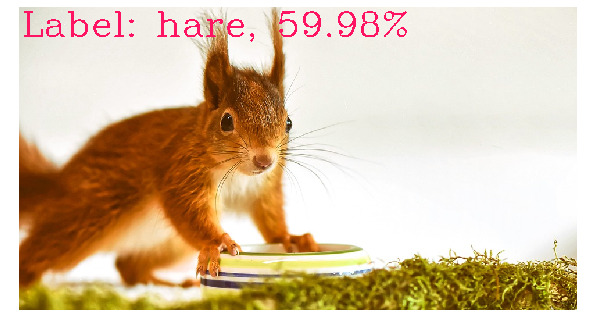 Deep learning Squirrel 59%